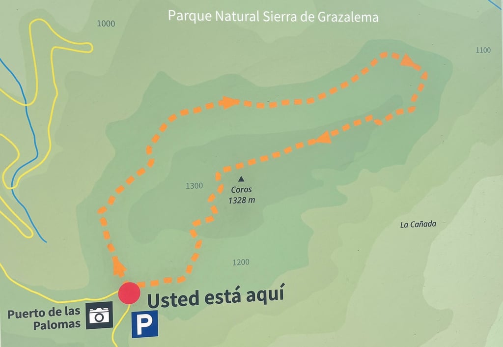 trail Sendero Cerro Coros in Grazalema, Puerto de las Palomas