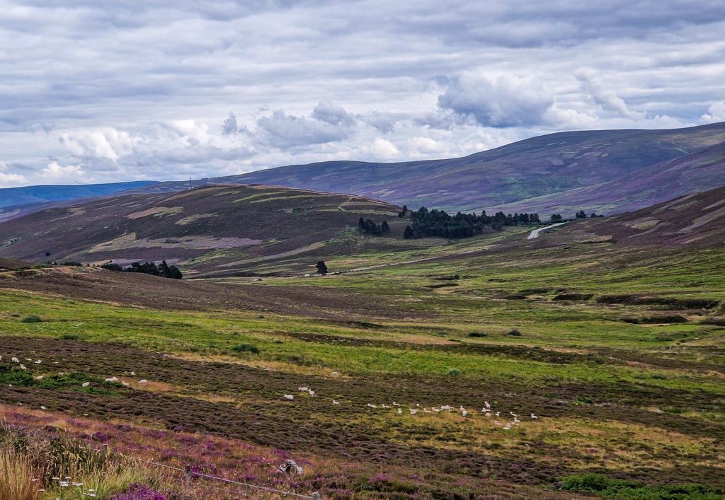 Cairngorms national park