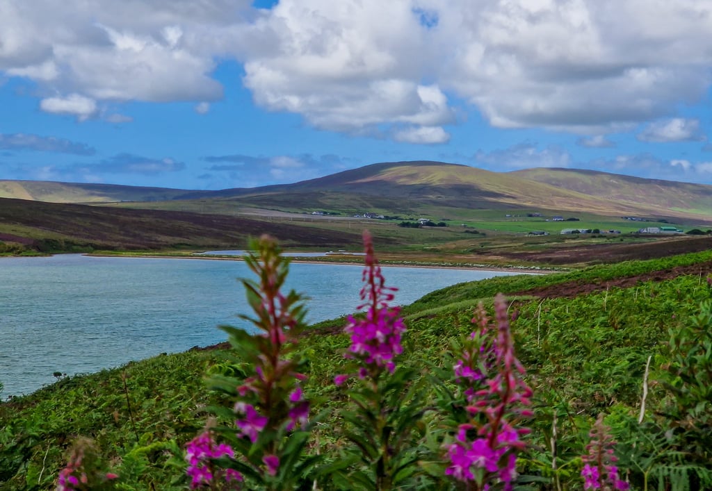 Waulkmill bay