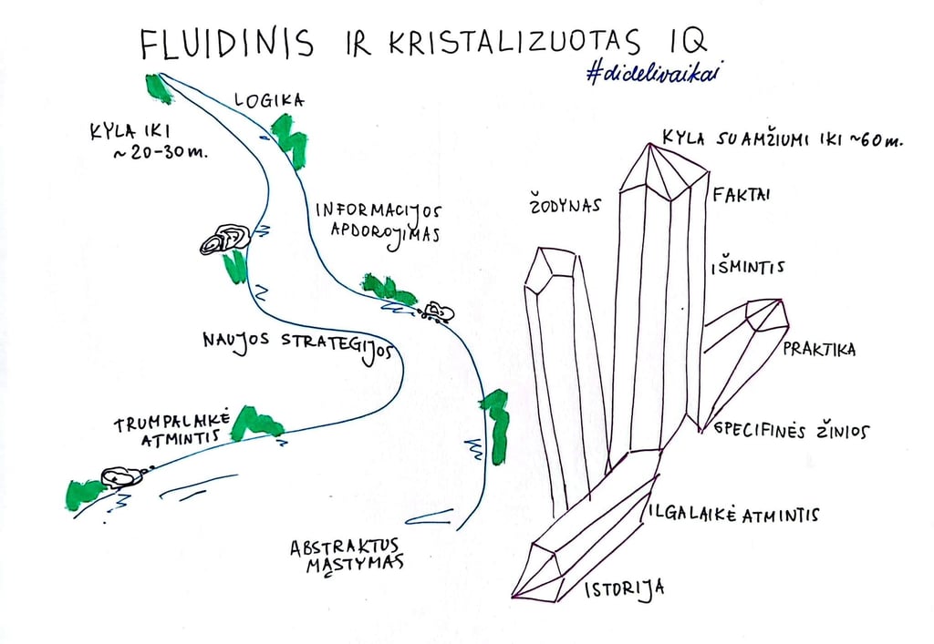 fluidinis ir kristalizuotas IQ