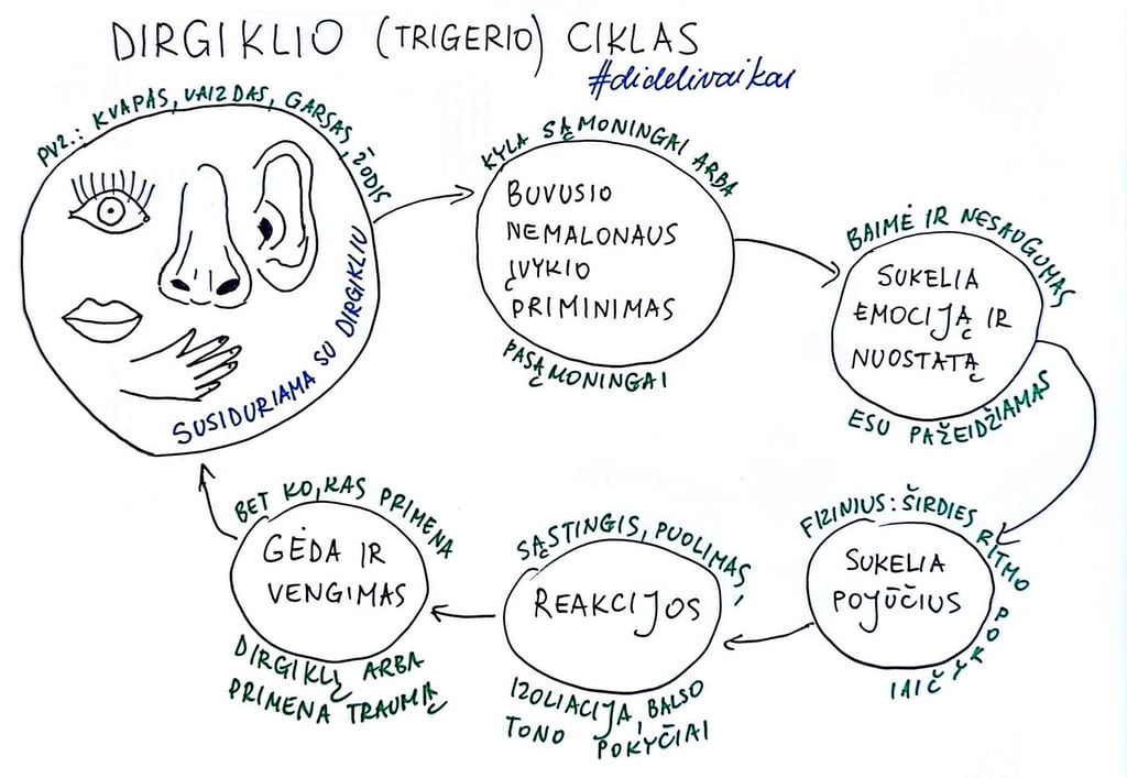 Dirgiklio ciklas dideli vaikai schema