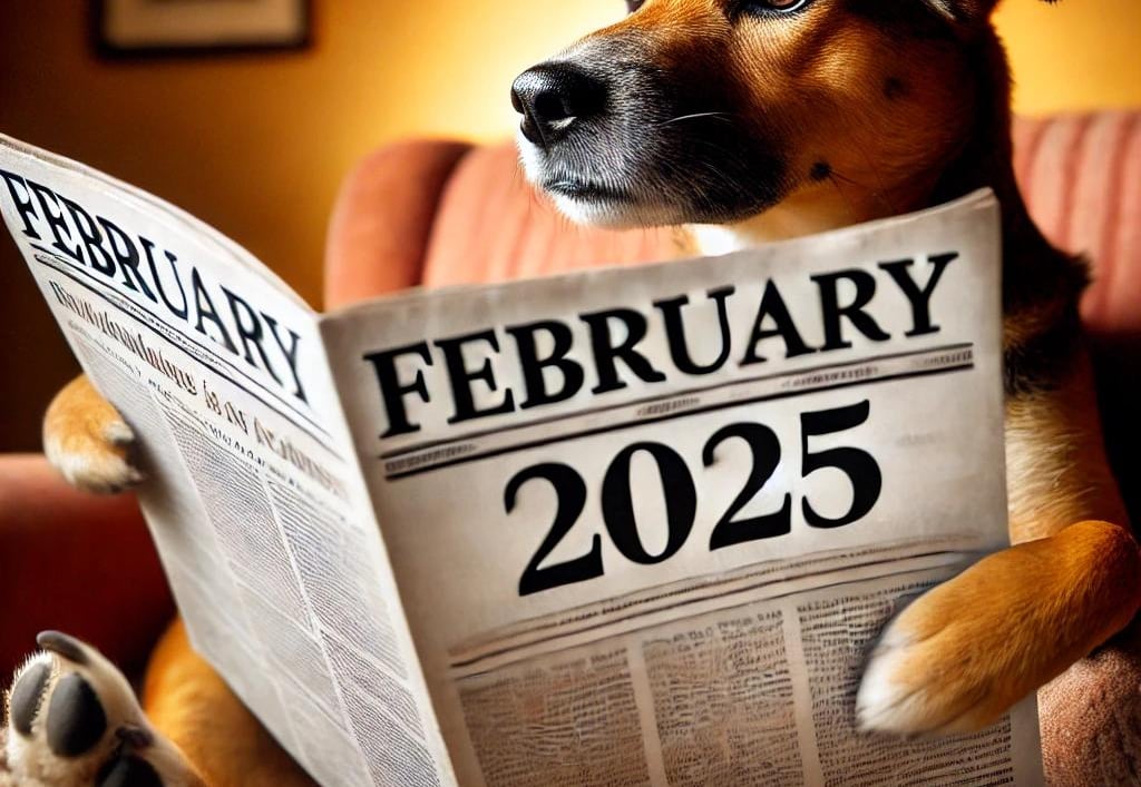 Buddy Run News