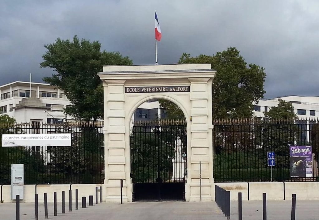 Alfort école vétérinaire