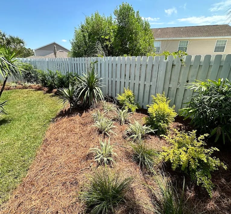 palm tree mulch 