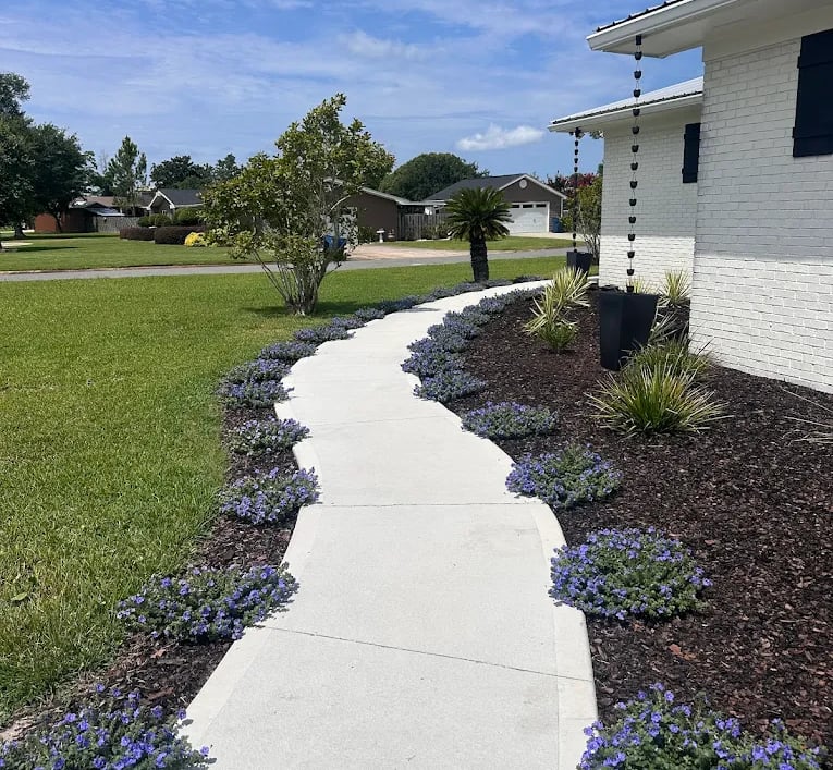 landscaping plants
