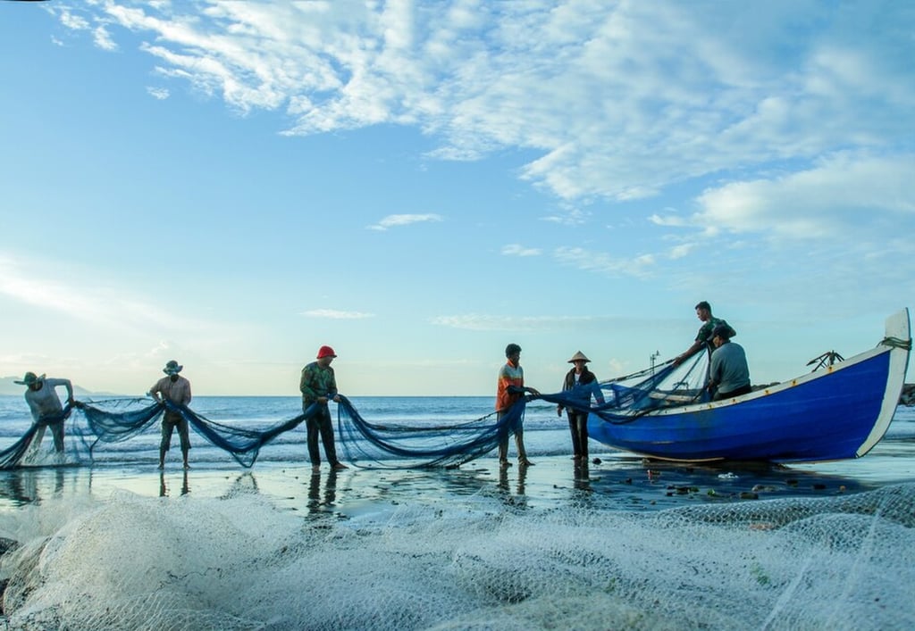 SEO For Fishing and Hunting Businesses in Cyprus