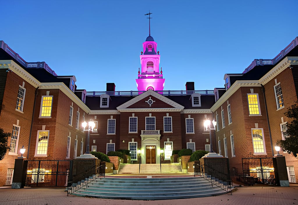 SEO and Branding Company in Dover, Delaware: Elevate Your Digital Presence with Skyrocket