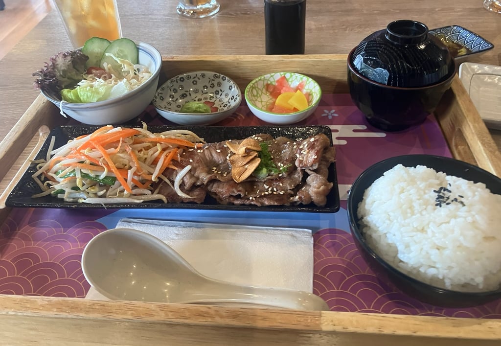 Halal Japanese Teriyaki set in Malaysia 