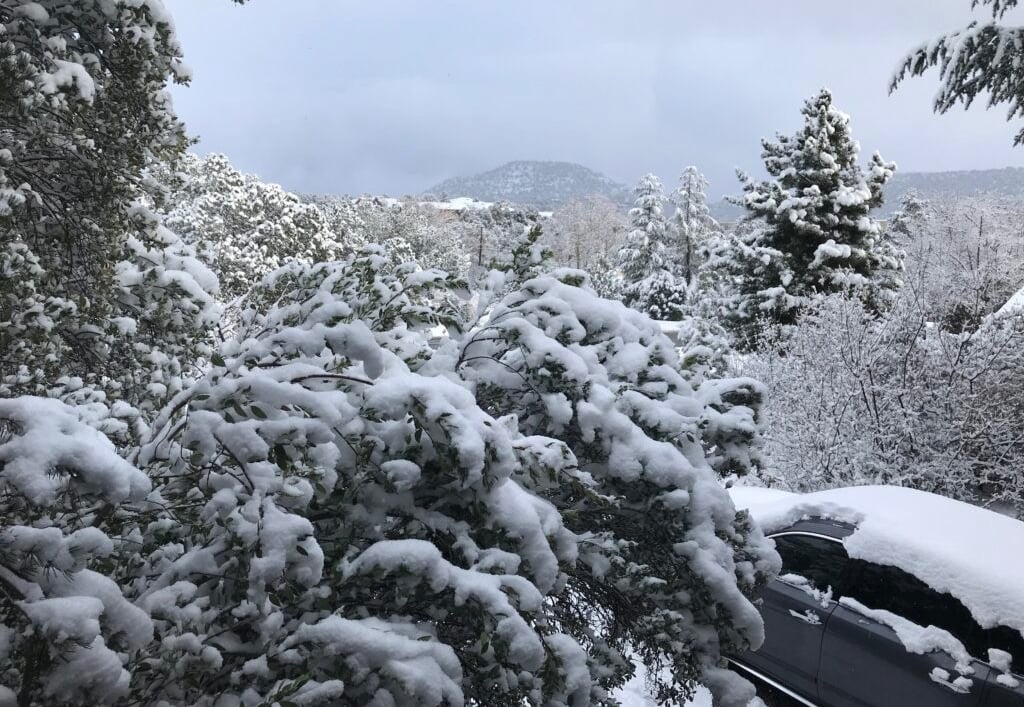 Snow-covered forest with mountain view, cold weather survival and winter wilderness navigation terrain