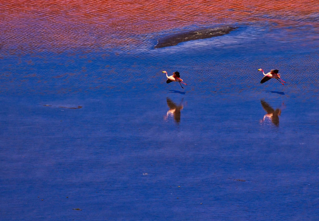 Classic Uyuni Salt Flat & Sky Mirror Tours — 3 to 6 Days