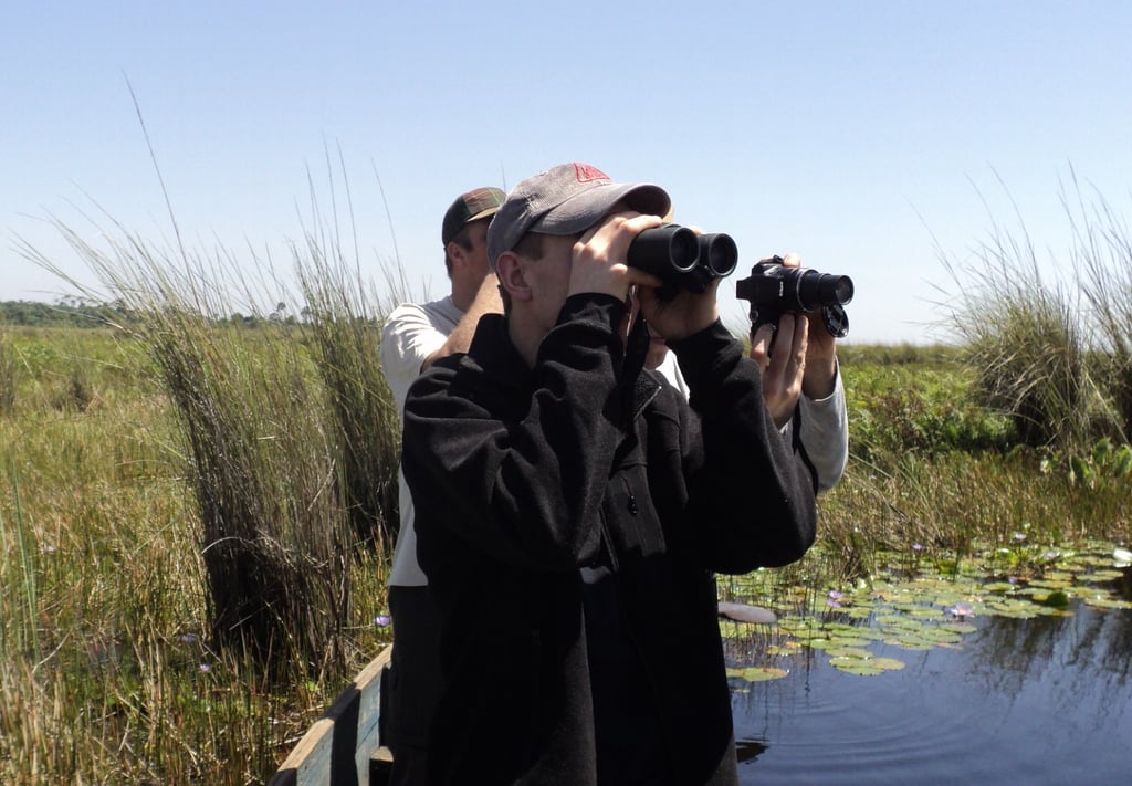birding-mabama-swamp