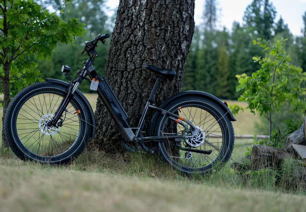 bike parked against a tree