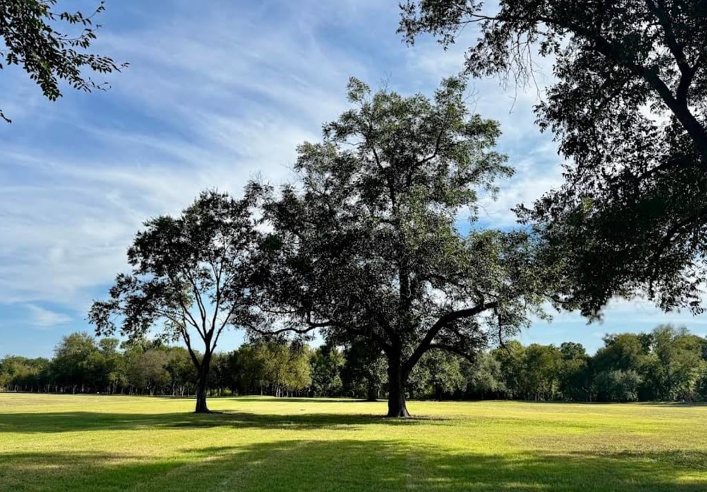 Park Setting at Glen Rose RV Park