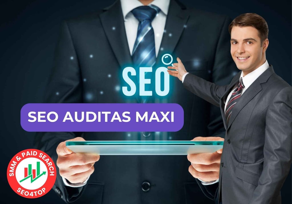 SEO auditas MAXI