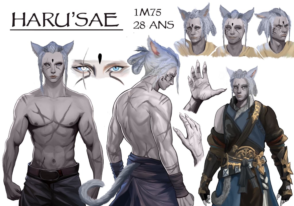 fiche personnage character design medieval fantasy personnage jeu de role roleplay
