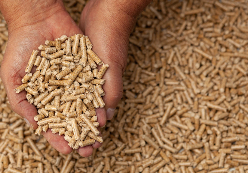 Ramonage Nantes Rezé sorinieres Ramoneur