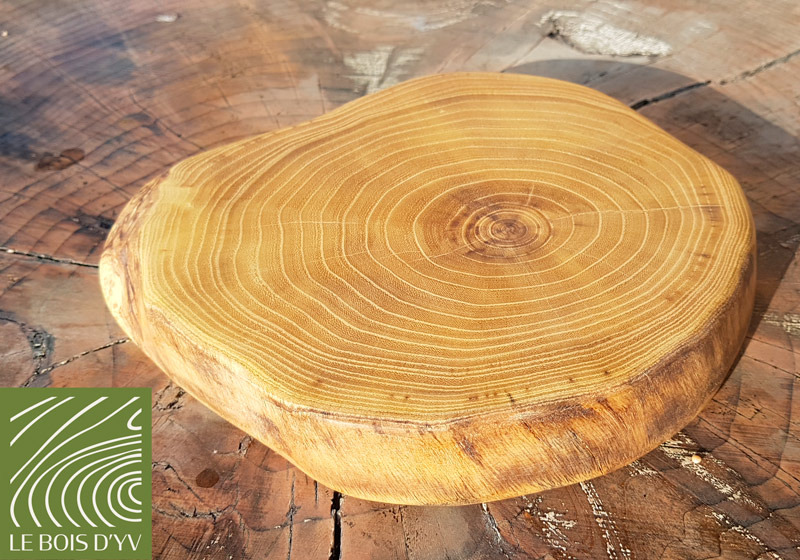 dessous de plat en robinier faux acacia