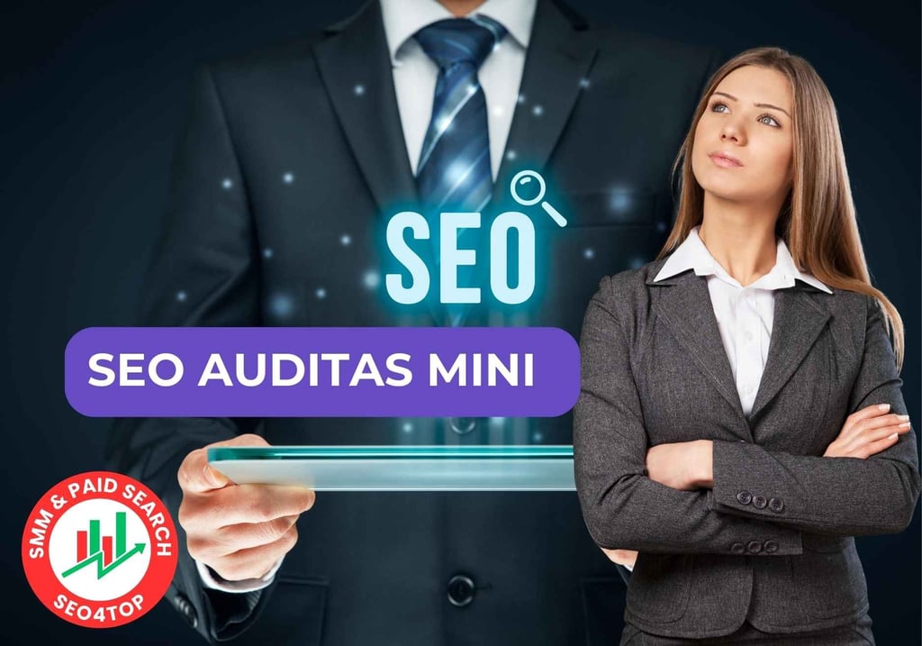 SEO auditas MINI