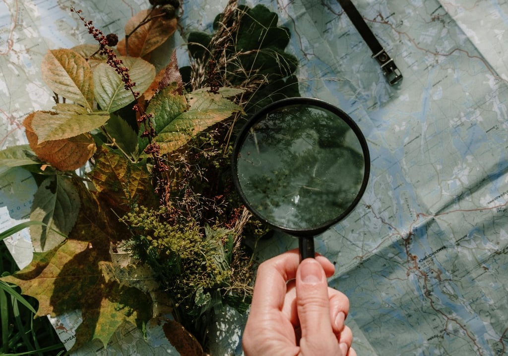 Image 6: Hand holding magnifying glass over leaves and moss on map, teaching outdoor plant ID skills