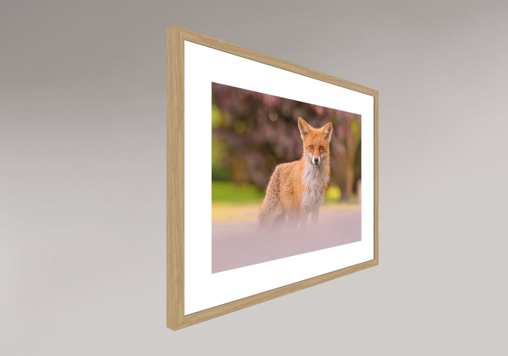 Tirage Fine Art papier coton mat Photo Rag — exemple