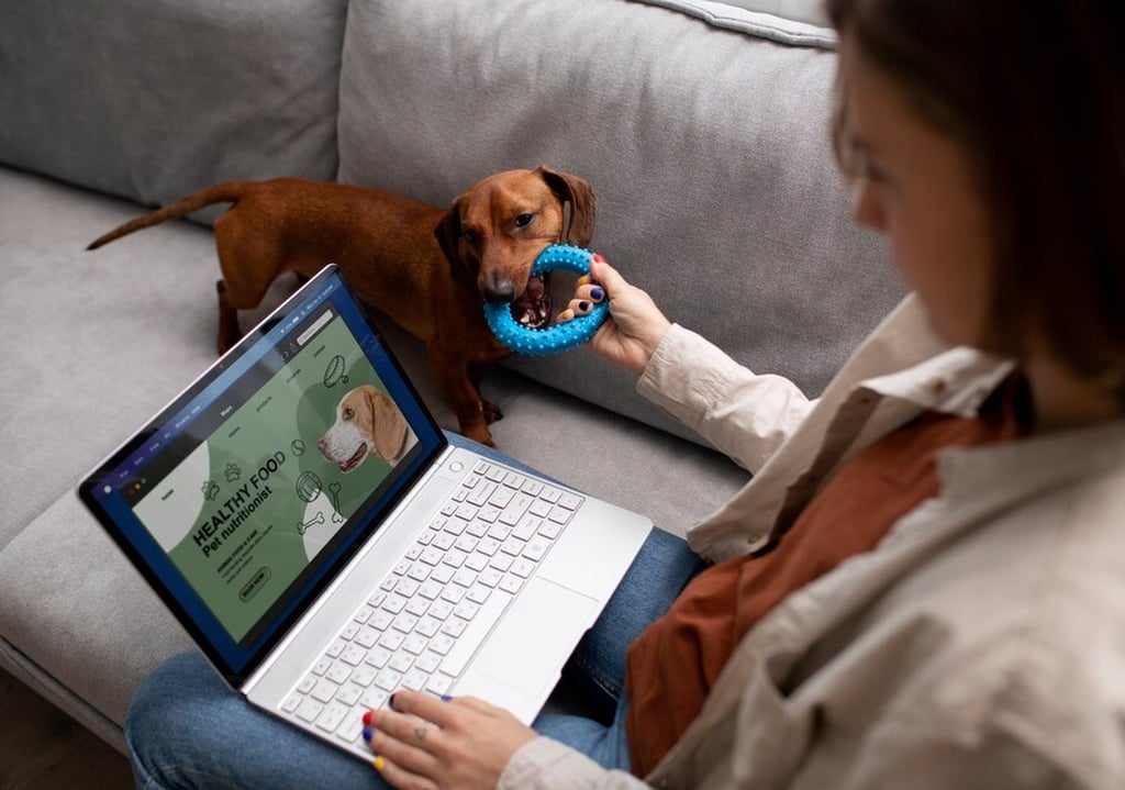 Digital Marketing For Dog and Cat Shelters in Cyprus