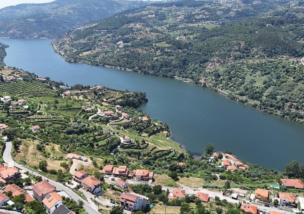 Gastronomia local do Douro