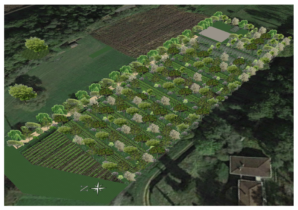 Maquettes 3D d'un futur jardin maraîcher (vue d'ensemble).