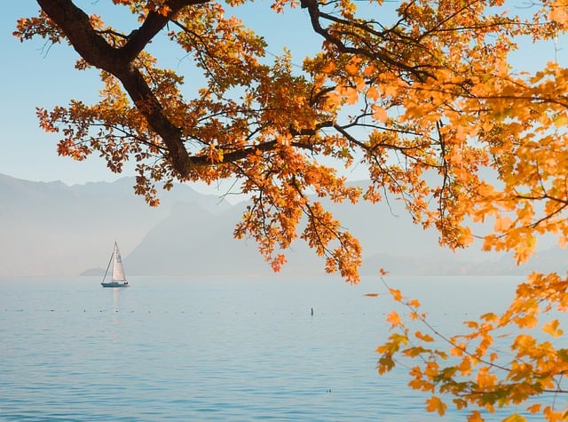 My mind is too busy to meditate. It is not calm like the ocean.