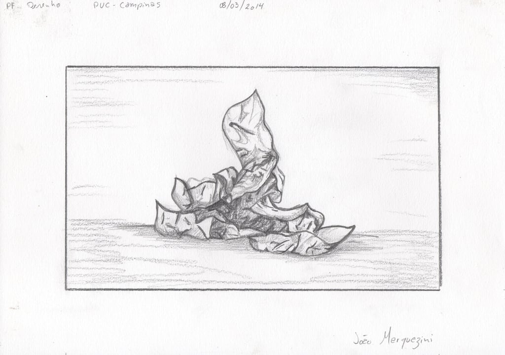 Exercicio de desenho clássico de observação. A única dessa folha de sulfite foi ser meu modelo em 2014.