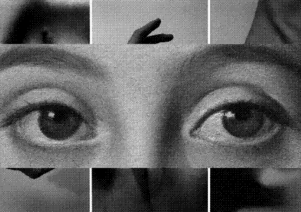 Collage diseñado por el fundador Santiago R M- OJOS DE UNA DAMA 