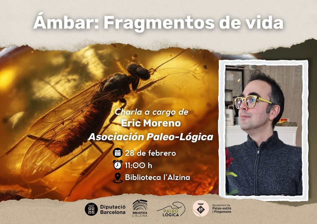 ámbar fragmentos de vida