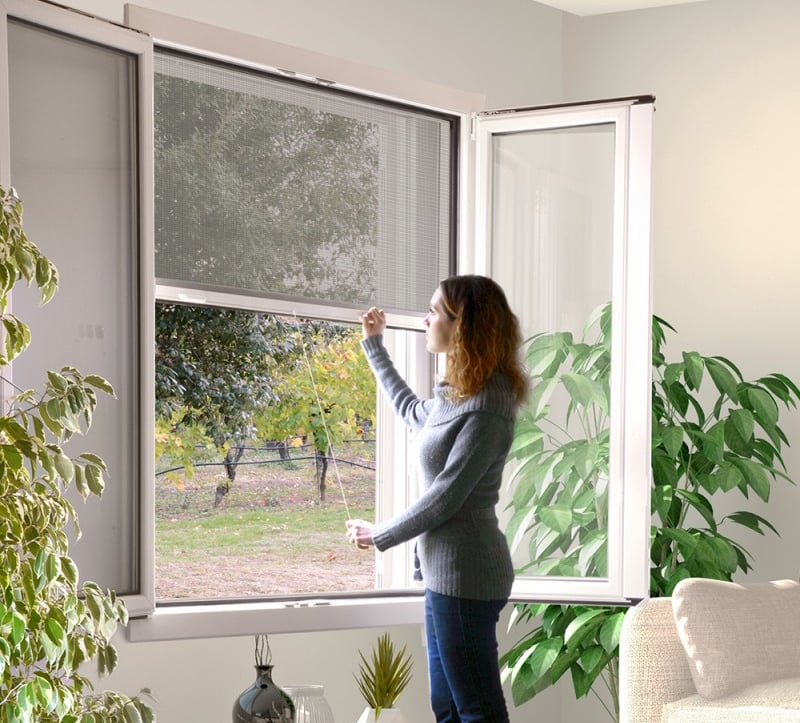 a woman standing in front of a window with a plant in the foreground