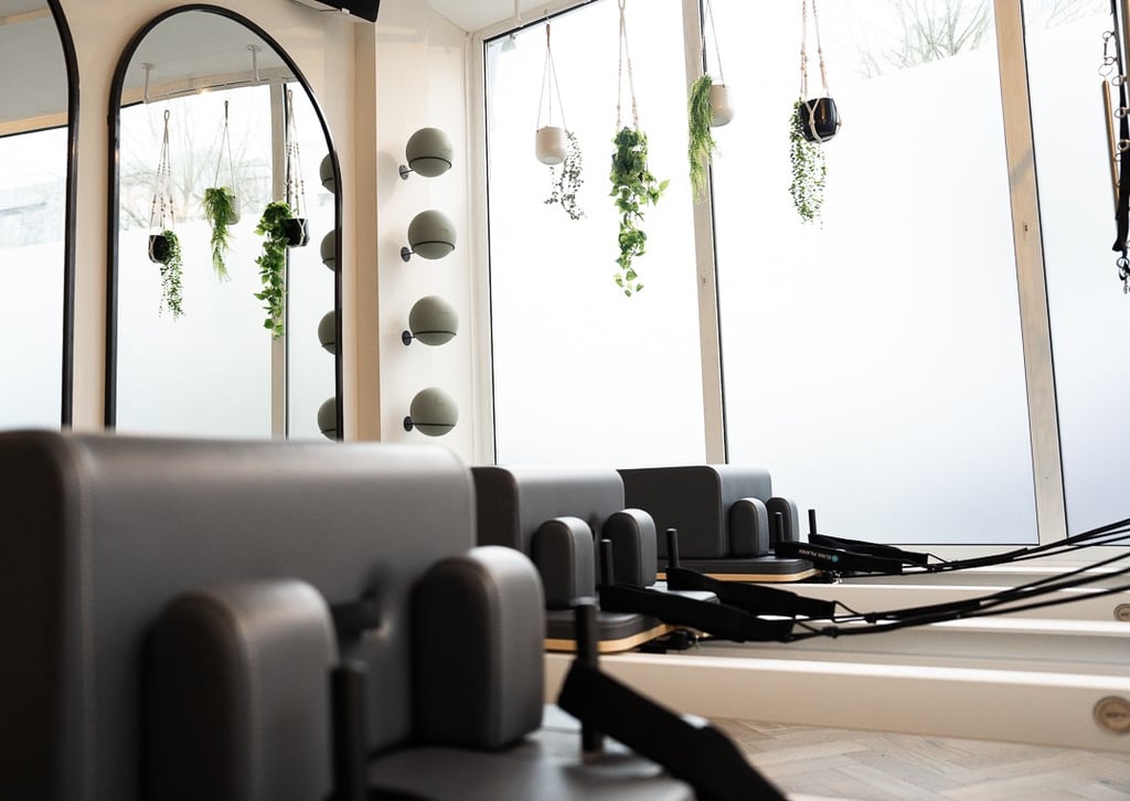 reform pilates with mirrors and plants