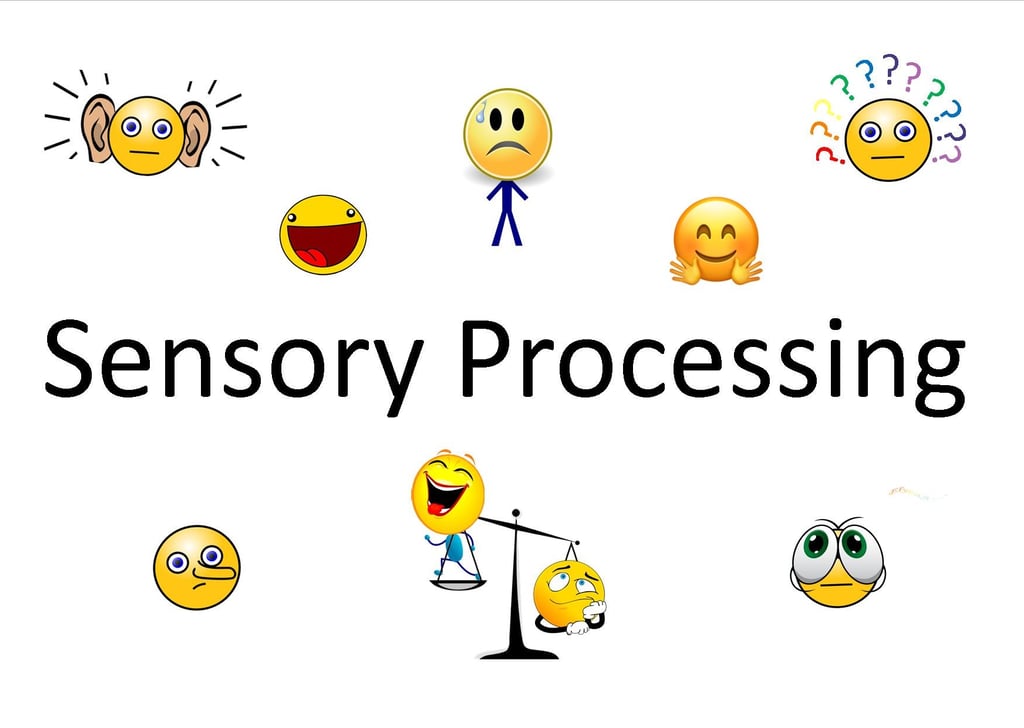 Sensory processing intro