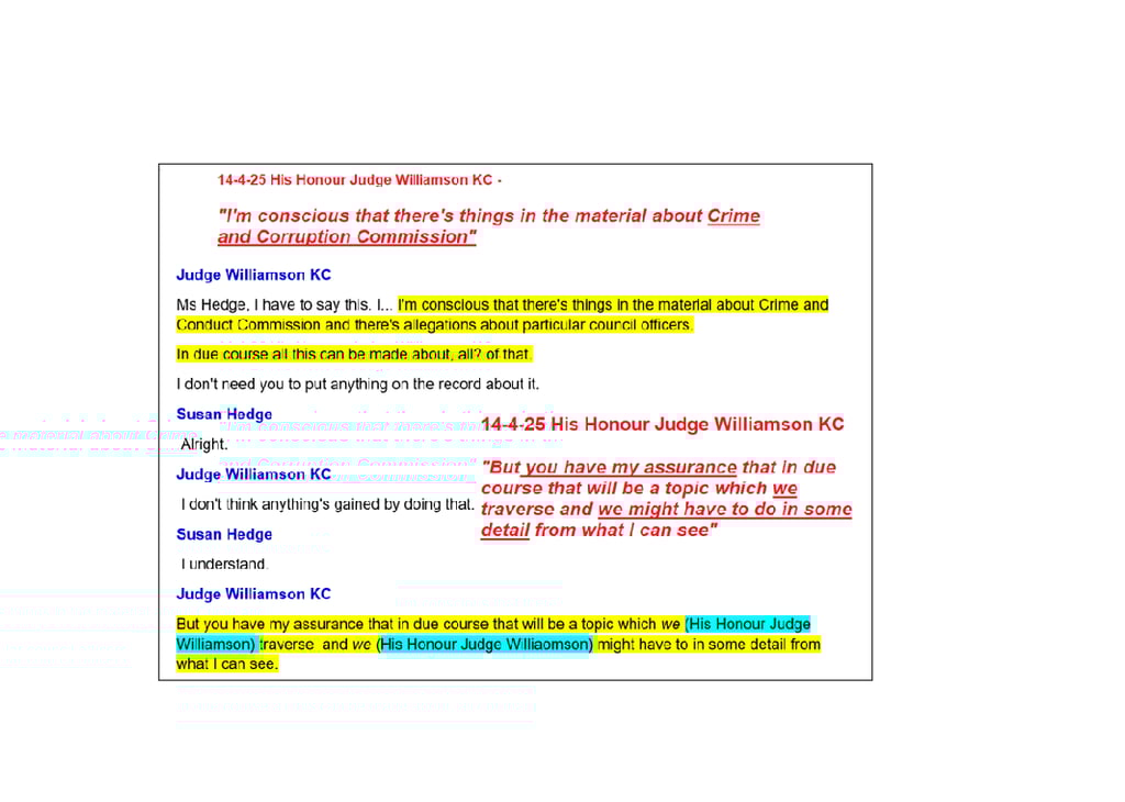 Adrian Schrinner Crime and Corruption Allegations