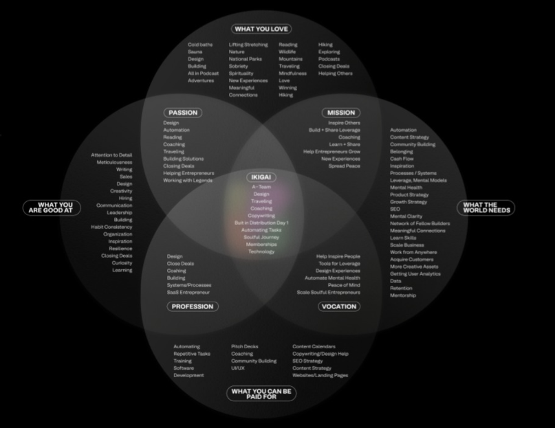 find your ikigai 