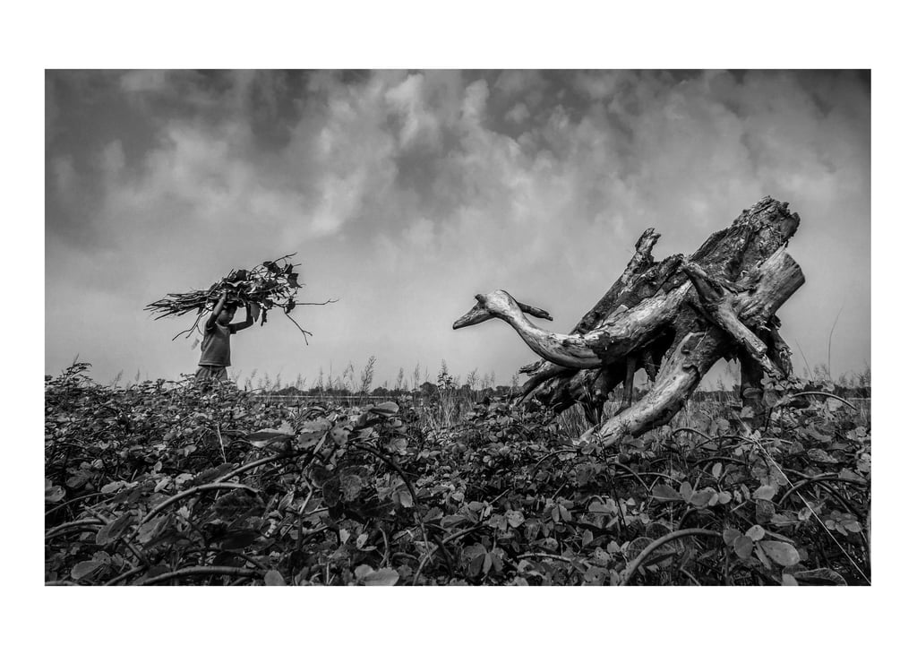 Sujan Sarkar Street Photography 93