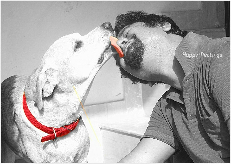 Dog Boarding, Dog Boarding near me, Pet Boarding, Pet Boarding near me, Dog Care, Happy Pettings