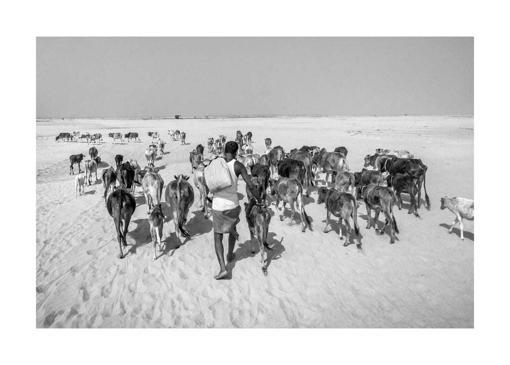 Sujan Sarkar Photography 0069