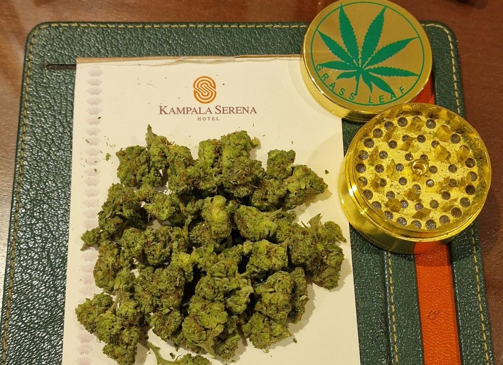 Weed in Kampala Uganda 2026