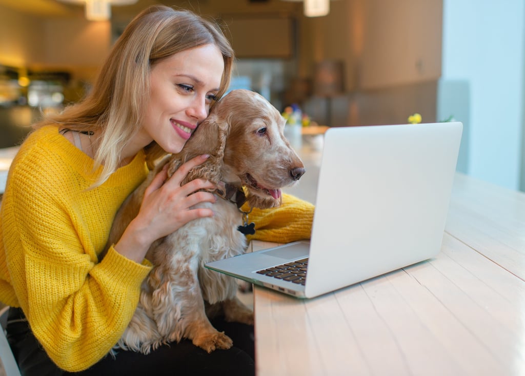Girl and Dog looking at computer