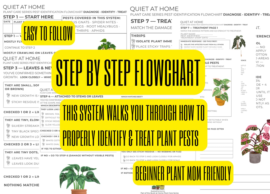 quiet at home pest ID flowchart printable open to diagnostic steps for identifying common houseplant