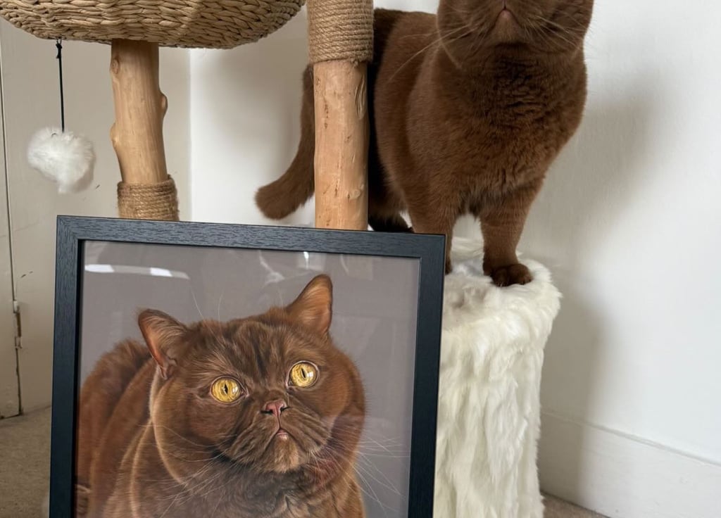 Realistische dierenportretten