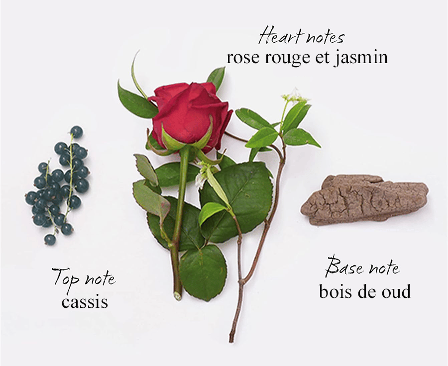 senteurs du parfum