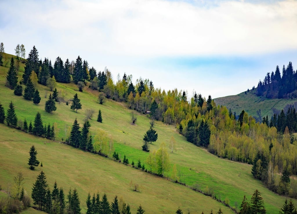 Beautiful rolling hills and forested landscape in Gyimes