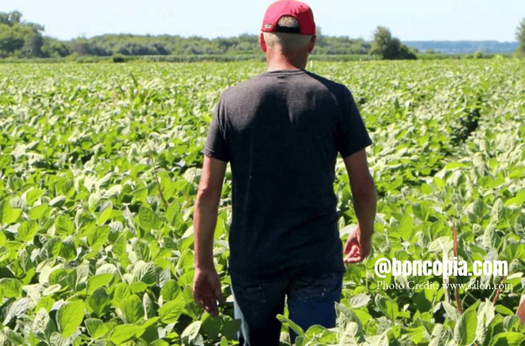 U.S. Tariffs in 2025: A Ripple Effect on Consumers, Manufacturers, and Farmers