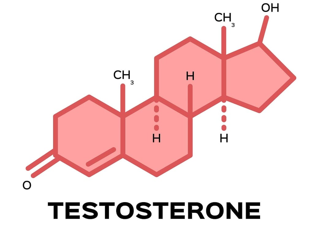 Image showing Testosterone in Women: Role in Menopause and Aging concept