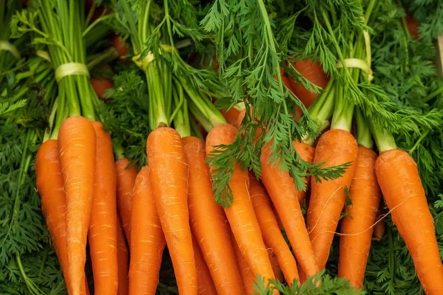 Qual o Beneficio de Comer Cenoura