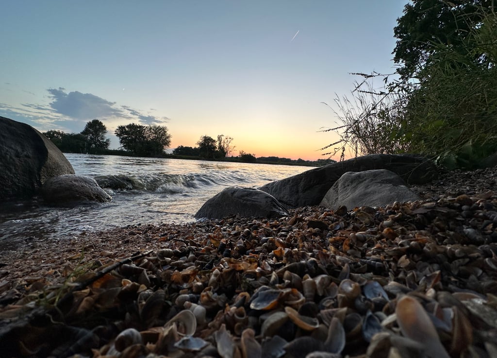 Calming Nature Fox River