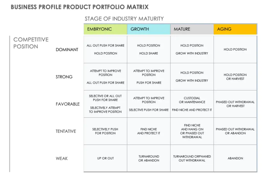 IB Business Management Boston Consulting Group BCG Matrix